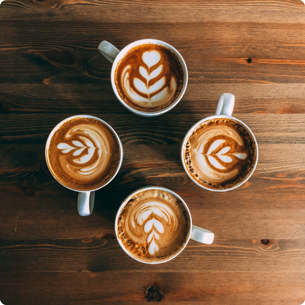 A Beginner's Guide to Brewing the Perfect Cup of Coffee