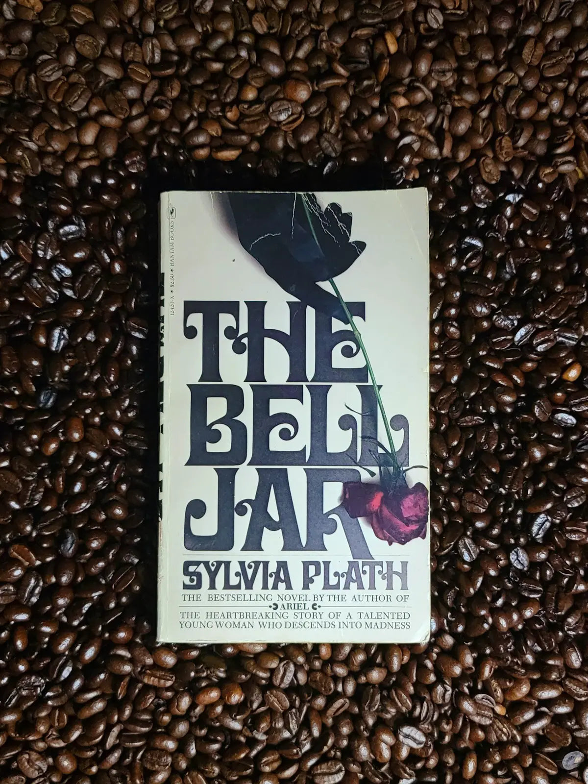 The Bell Java (Hazelnut) – Banned Beans