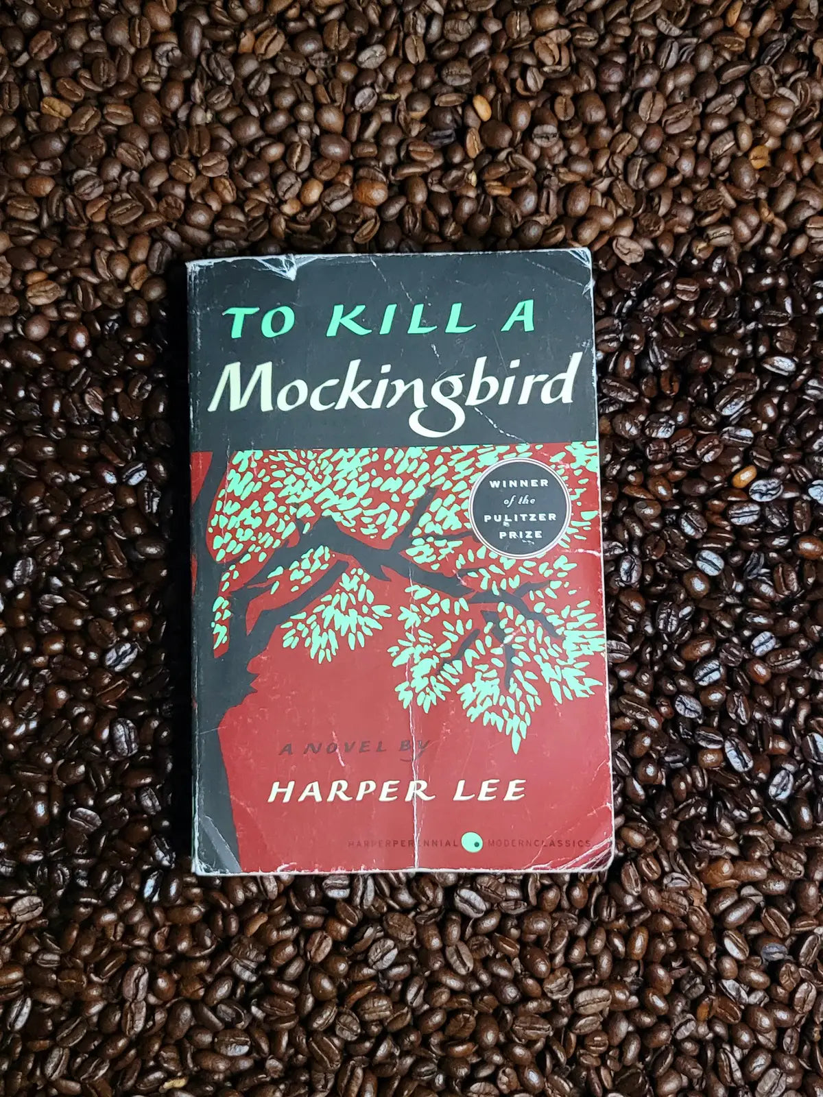 Mockingbird Mocha
